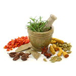 Health & Ayurveda